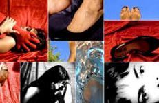 galeria glossom
