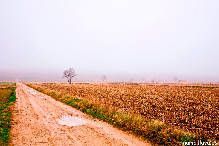 La niebla no me deja ver